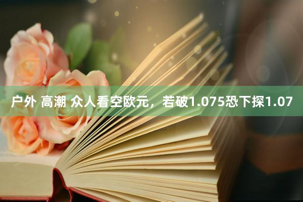 户外 高潮 众人看空欧元，若破1.075恐下探1.07