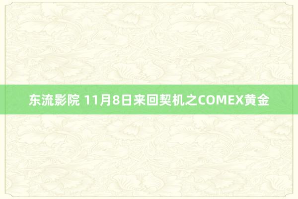 东流影院 11月8日来回契机之COMEX黄金