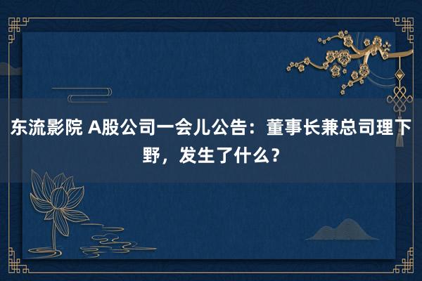 东流影院 A股公司一会儿公告：董事长兼总司理下野，发生了什么？