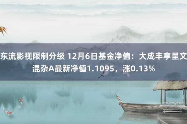 东流影视限制分级 12月6日基金净值：大成丰享呈文混杂A最新净值1.1095，涨0.13%