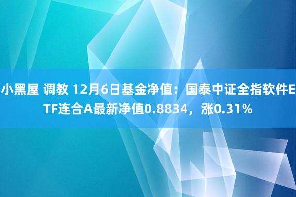 小黑屋 调教 12月6日基金净值：国泰中证全指软件ETF连合A最新净值0.8834，涨0.31%