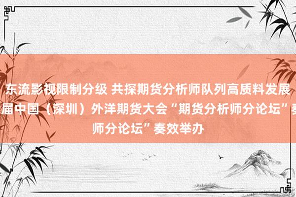 东流影视限制分级 共探期货分析师队列高质料发展——第19届中国（深圳）外洋期货大会“期货分析师分论坛”奏效举办