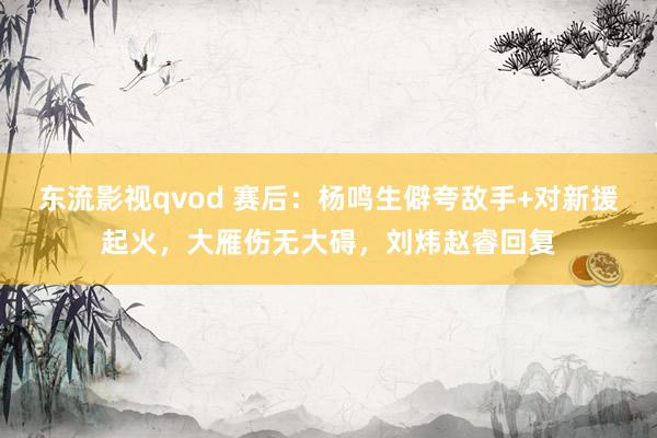 东流影视qvod 赛后：杨鸣生僻夸敌手+对新援起火，大雁伤无大碍，刘炜赵睿回复