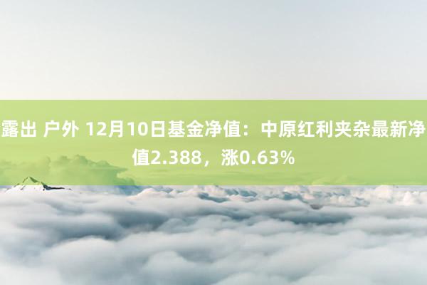 露出 户外 12月10日基金净值：中原红利夹杂最新净值2.388，涨0.63%