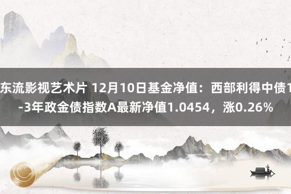 东流影视艺术片 12月10日基金净值：西部利得中债1-3年政金债指数A最新净值1.0454，涨0.26%