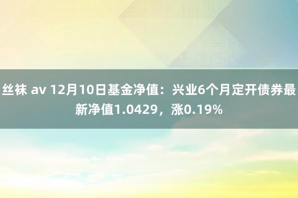 丝袜 av 12月10日基金净值：兴业6个月定开债券最新净值1.0429，涨0.19%