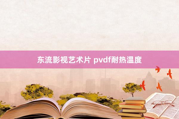 东流影视艺术片 pvdf耐热温度