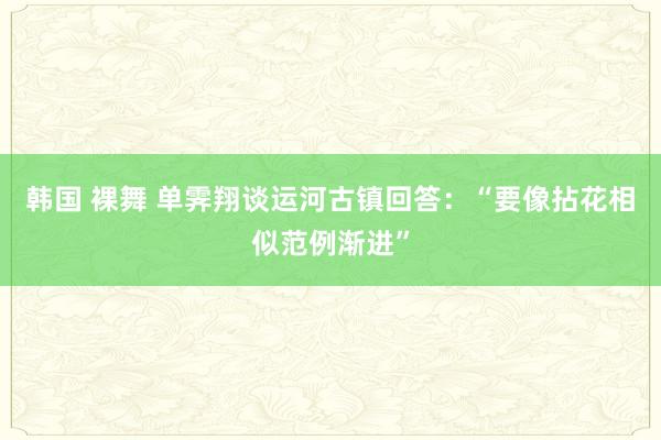 韩国 裸舞 单霁翔谈运河古镇回答：“要像拈花相似范例渐进”