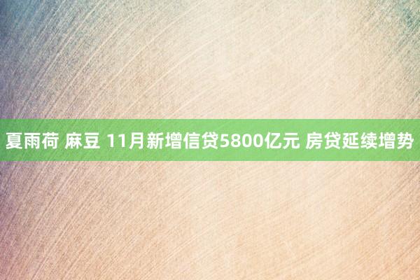 夏雨荷 麻豆 11月新增信贷5800亿元 房贷延续增势