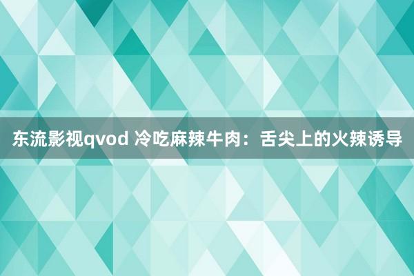 东流影视qvod 冷吃麻辣牛肉：舌尖上的火辣诱导