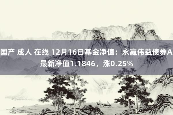 国产 成人 在线 12月16日基金净值：永赢伟益债券A最新净值1.1846，涨0.25%