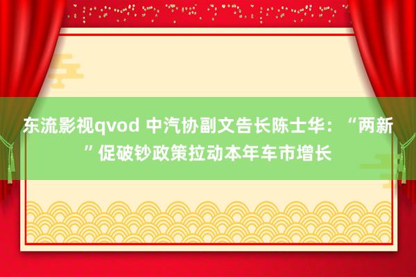 东流影视qvod 中汽协副文告长陈士华：“两新”促破钞政策拉动本年车市增长