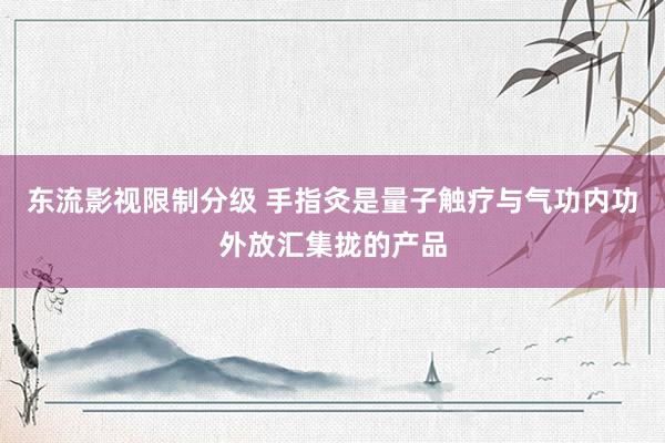 东流影视限制分级 手指灸是量子触疗与气功内功外放汇集拢的产品