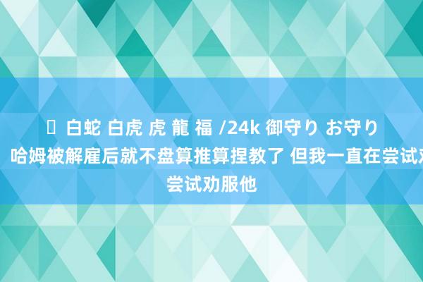 ✨白蛇 白虎 虎 龍 福 /24k 御守り お守り 老里：哈姆被解雇后就不盘算推算捏教了 但我一直在尝试劝服他