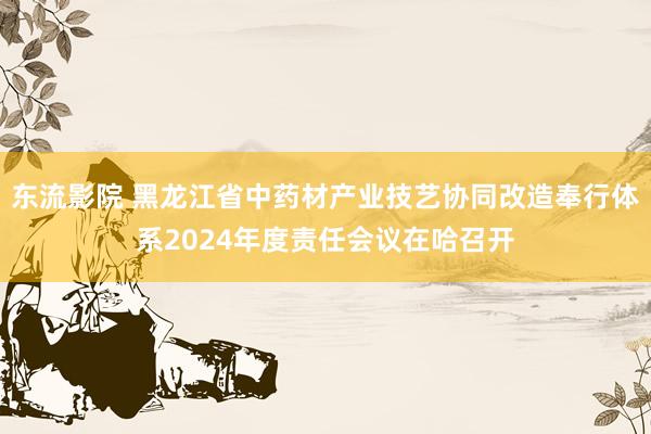 东流影院 黑龙江省中药材产业技艺协同改造奉行体系2024年度责任会议在哈召开