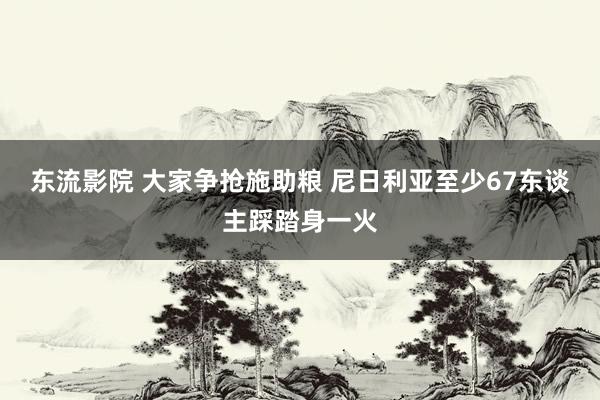 东流影院 大家争抢施助粮 尼日利亚至少67东谈主踩踏身一火