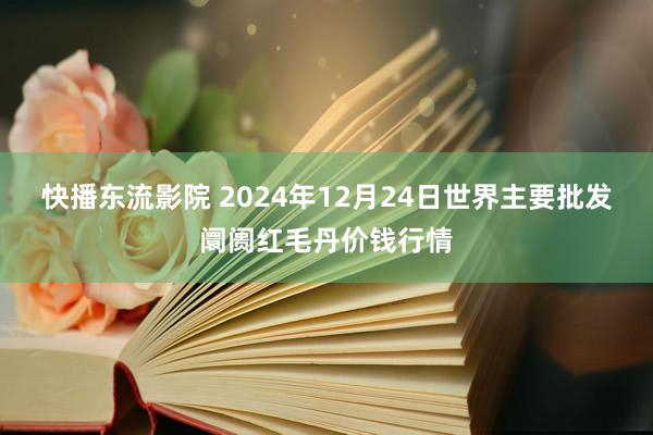 快播东流影院 2024年12月24日世界主要批发阛阓红毛丹价钱行情