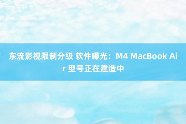 东流影视限制分级 软件曝光：M4 MacBook Air 型号正在建造中