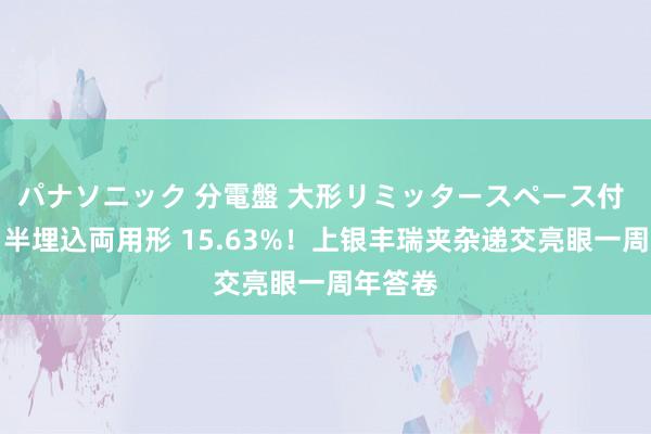 パナソニック 分電盤 大形リミッタースペース付 露出・半埋込両用形 15.63%！上银丰瑞夹杂递交亮眼一周年答卷