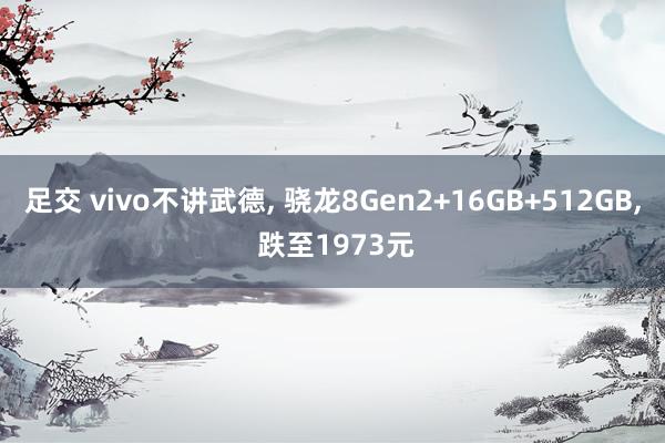 足交 vivo不讲武德， 骁龙8Gen2+16GB+512GB， 跌至1973元