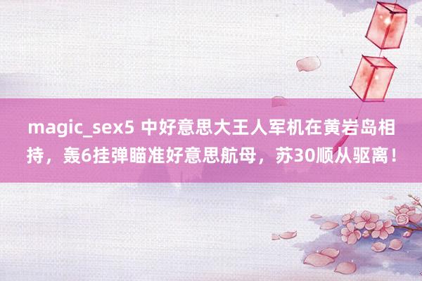 magic_sex5 中好意思大王人军机在黄岩岛相持，轰6挂弹瞄准好意思航母，苏30顺从驱离！