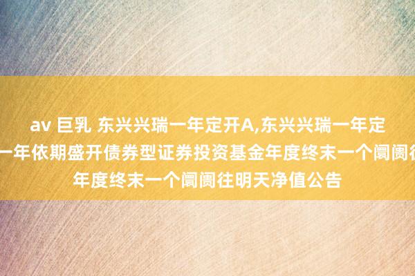 av 巨乳 东兴兴瑞一年定开A，东兴兴瑞一年定开C: 东兴兴瑞一年依期盛开债券型证券投资基金年度终末一个阛阓往明天净值公告