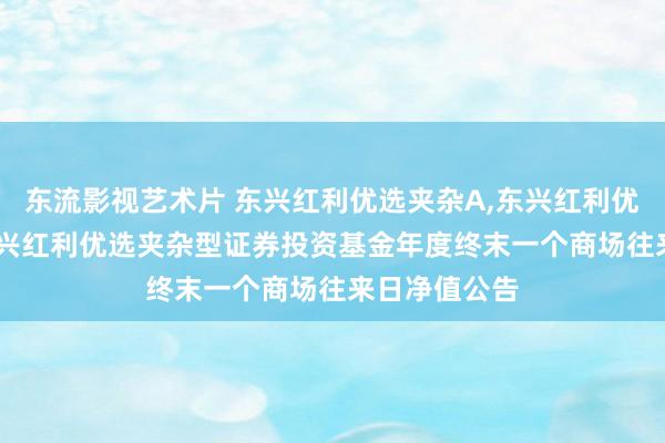 东流影视艺术片 东兴红利优选夹杂A，东兴红利优选夹杂C: 东兴红利优选夹杂型证券投资基金年度终末一个商场往来日净值公告