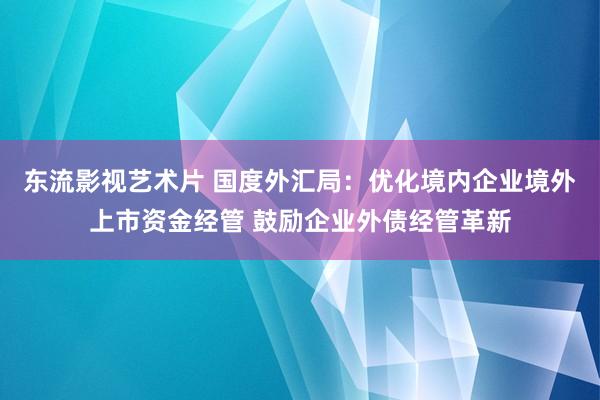 东流影视艺术片 国度外汇局：优化境内企业境外上市资金经管 鼓励企业外债经管革新