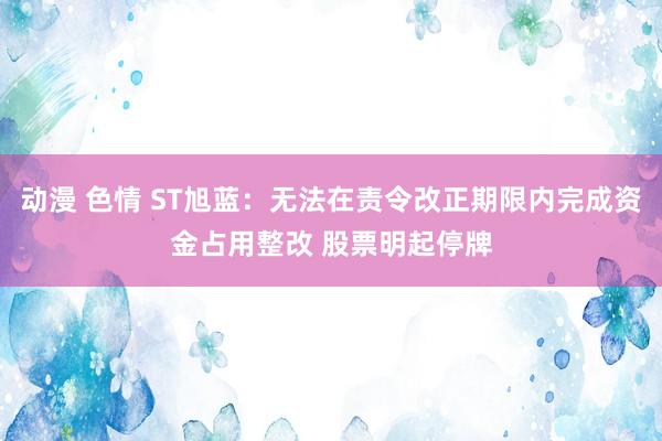 动漫 色情 ST旭蓝：无法在责令改正期限内完成资金占用整改 股票明起停牌