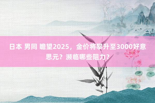 日本 男同 瞻望2025，金价将攀升至3000好意思元？濒临哪些阻力？