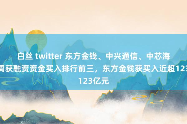 白丝 twitter 东方金钱、中兴通信、中芯海外上周获融资资金买入排行前三，东方金钱获买入近超123亿元