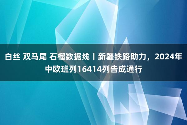 白丝 双马尾 石榴数据线丨新疆铁路助力，2024年中欧班列16414列告成通行