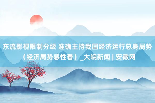 东流影视限制分级 准确主持我国经济运行总身局势（经济局势感性看）_大皖新闻 | 安徽网