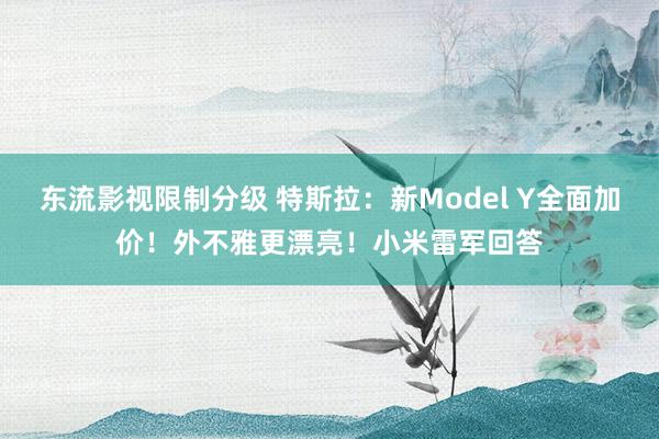 东流影视限制分级 特斯拉：新Model Y全面加价！外不雅更漂亮！小米雷军回答